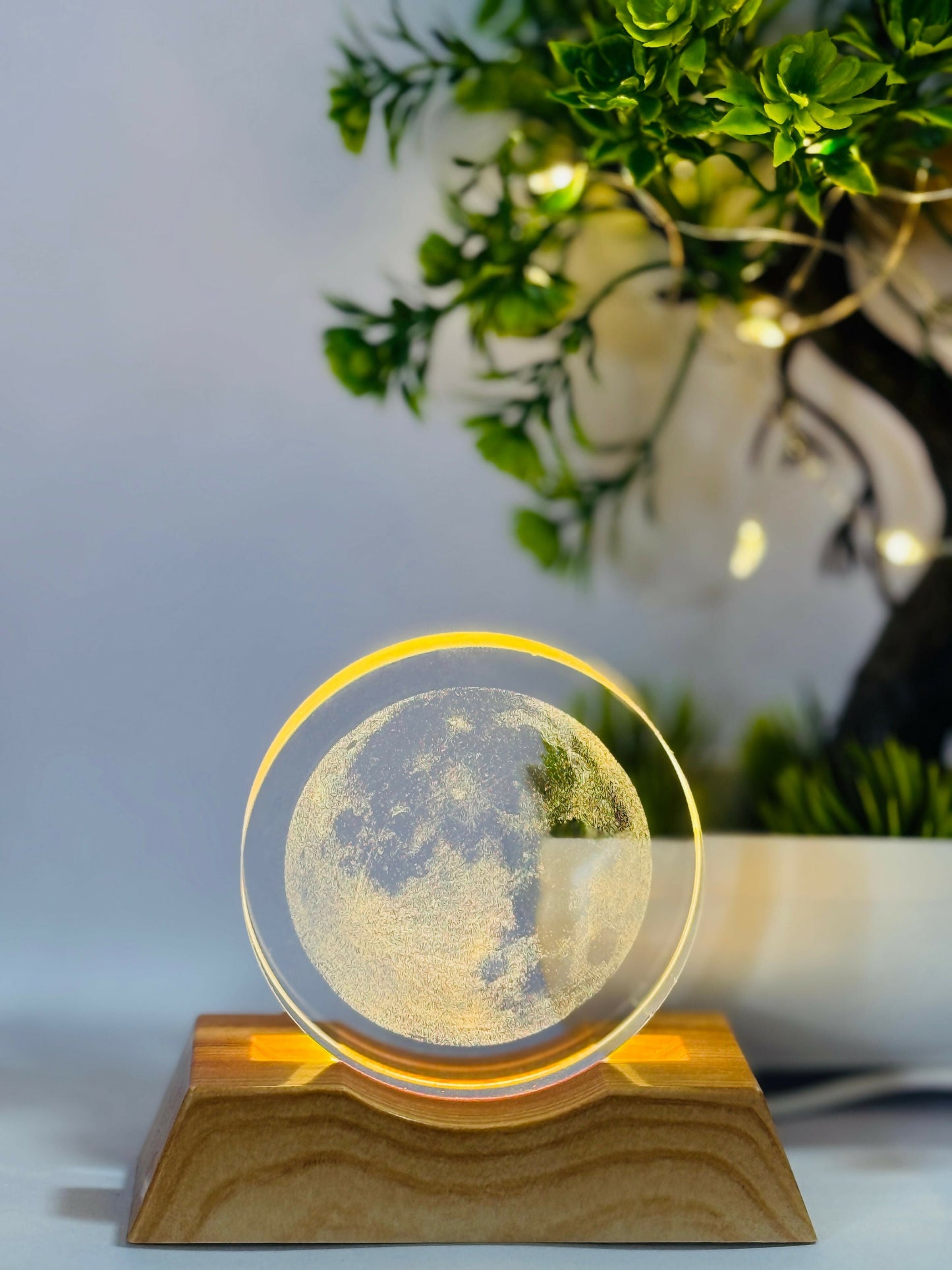 3D Moon LED Night Lamp with Wooden Base |